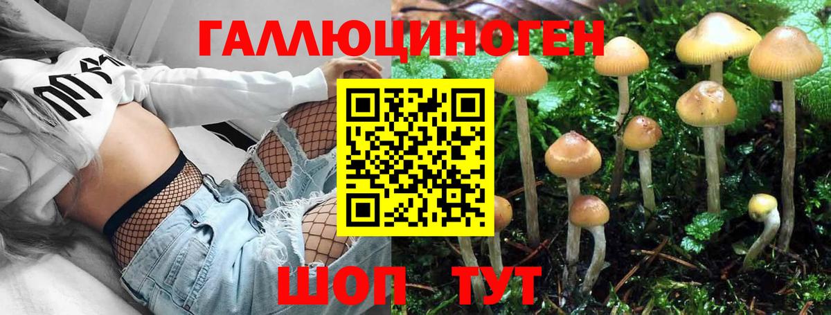 Псилоцибиновые грибы Cubensis Шатура