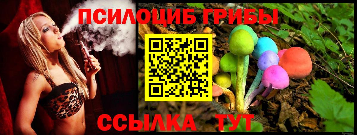 Галлюциногенные грибы Cubensis  Вход с VPN  Галлюциногенные грибы мицелий  Шатура 